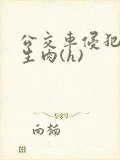 公交车侵犯小男生肉(h)