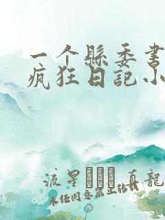 一个县委书记的疯狂日记小说