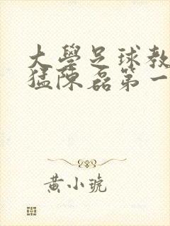 大学足球教练王猛陈磊第一篇