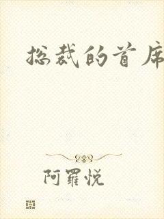 总裁的首席保姆