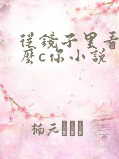 从镜子里看我怎么c你小说