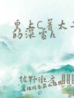 皇上C着太子妃的深处h