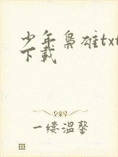 少年枭雄txt下载