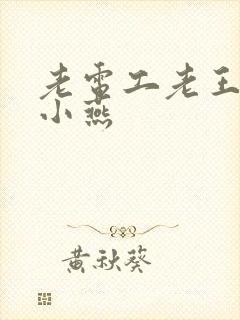 老电工老王和李小燕