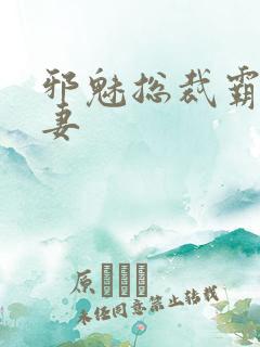 邪魅总裁霸占新妻