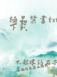 极品禁书txt下载