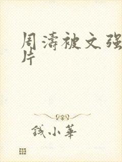 周涛被文强睡图片