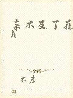 来不及了在车ch