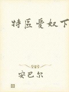 特区爱奴下载