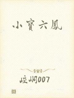 小宝六凤