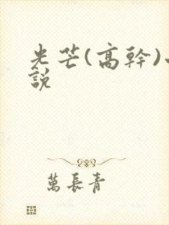 光芒(高干)小说