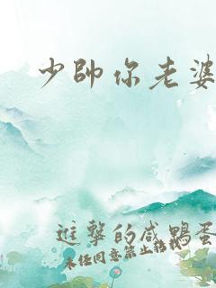 少帅你老婆