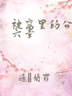 被窝里的公息第六章