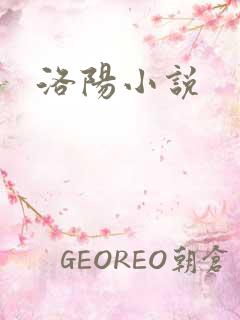 洛阳小说