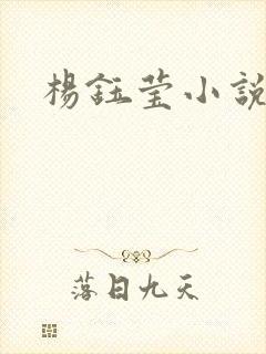 杨钰莹小说阅读