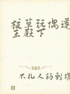 校草玩偶遵命公主殿下