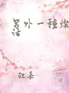 另外一种灿烂生活