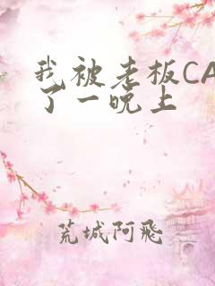 我被老板CAO了一晚上