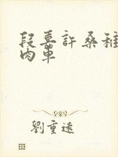 段嘉许桑稚浴室肉车