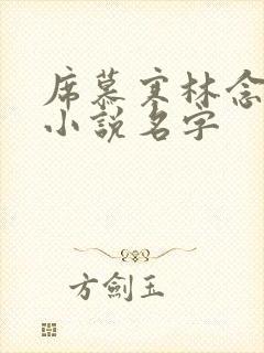 席慕寒林念儿的小说名字