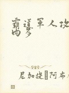 霸道军人攻现代肉多