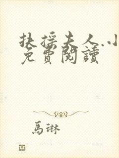 扶摇夫人.小说免费阅读