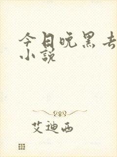 今日晚黑去见你小说