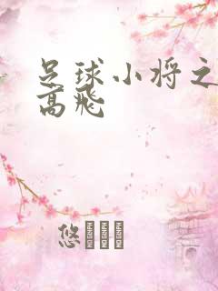 足球小将之展翅高飞