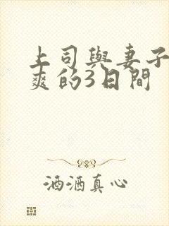 上司与妻子干到爽的3日间