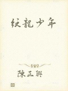 纹龙少年
