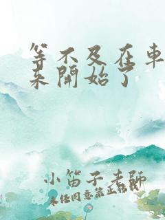 等不及在车里就来开始了