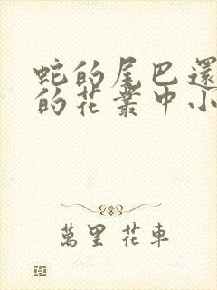 蛇的尾巴还在我的花丛中小说