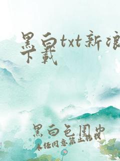黑白txt新浪下载