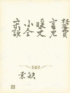 宋小暖言楚行小说全文免费阅读