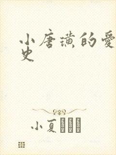 小唐璜的爱情历史