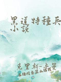 黑道特种兵有声小说