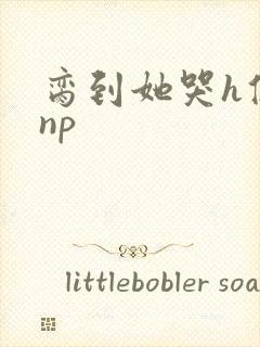 脔到她哭h修仙np