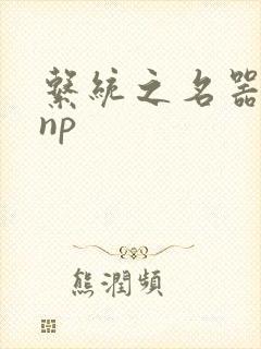 系统之名器攻略np