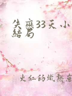 失恋33天小说结局