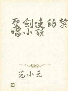 圣剑使的禁咒咏唱小说