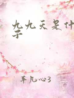 九九天是什么日子