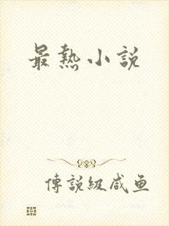 最热小说