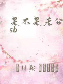 是不是老公的小sb