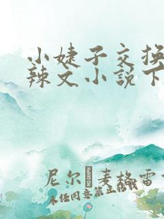 小婕子交换系列辣文小说下载