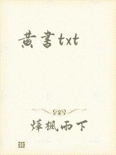 黄书txt