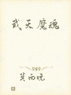 武天魔魂