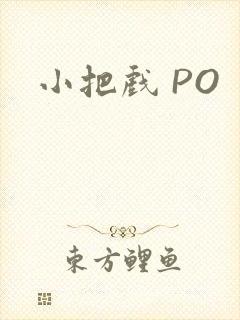 小把戏 PO