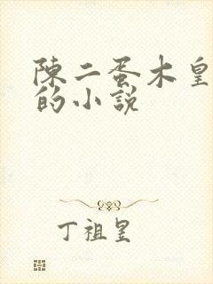 陈二蛋木皇真经的小说