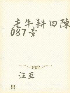 老牛耕田陈雪1087章