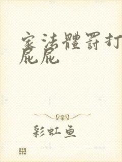 家法体罚打丫鬟屁屁